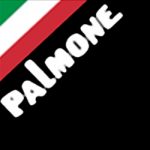 palmone banner logo
