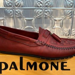 Palmone Terra